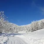 Les Sapins Bussang