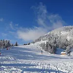 Les Sapins Bussang
