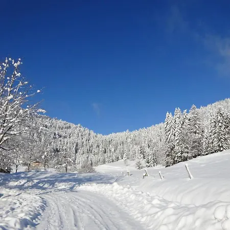 Les Sapins Bussang