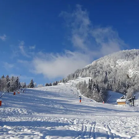Les Sapins Bussang