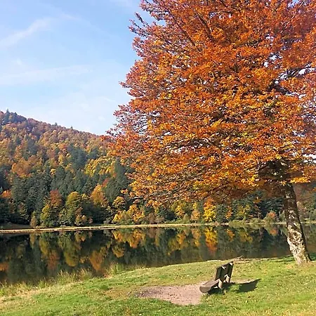Panzió Les Sapins Bussang