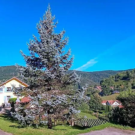 Panzió Les Sapins Bussang