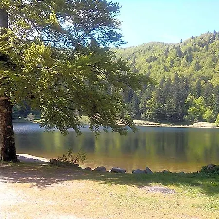 Les Sapins 3* Bussang