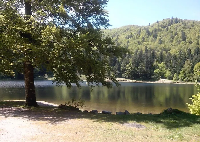 Panzió Les Sapins Bussang